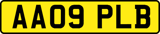 AA09PLB