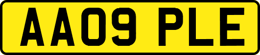 AA09PLE