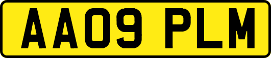 AA09PLM