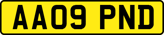 AA09PND