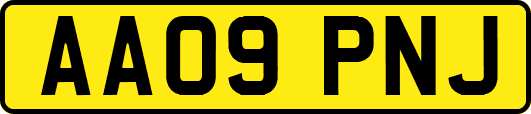 AA09PNJ