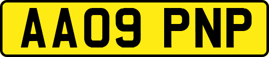AA09PNP