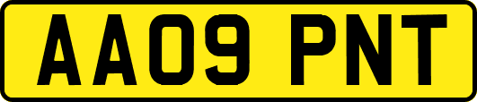 AA09PNT