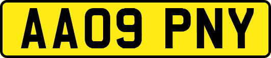 AA09PNY