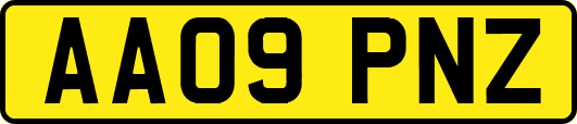 AA09PNZ