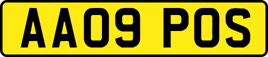 AA09POS