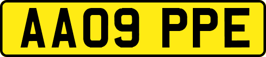 AA09PPE