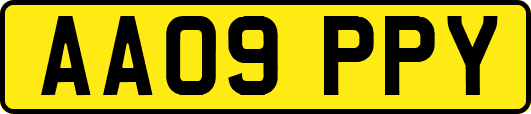 AA09PPY