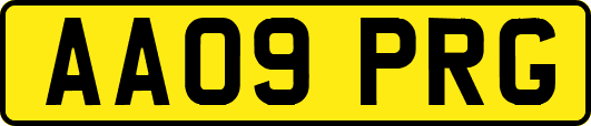 AA09PRG