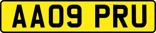 AA09PRU