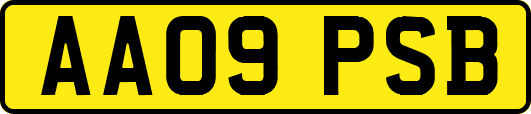 AA09PSB