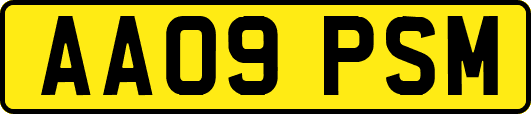 AA09PSM