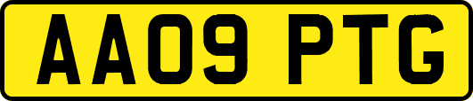 AA09PTG