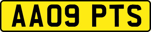 AA09PTS