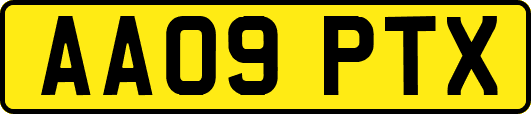 AA09PTX