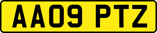 AA09PTZ
