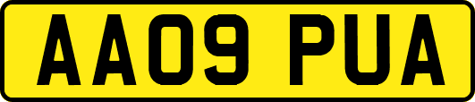 AA09PUA