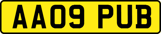 AA09PUB