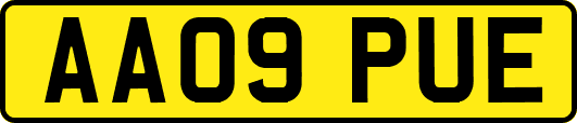 AA09PUE