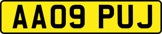 AA09PUJ