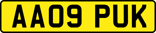 AA09PUK