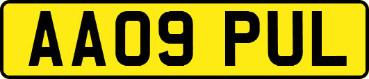 AA09PUL