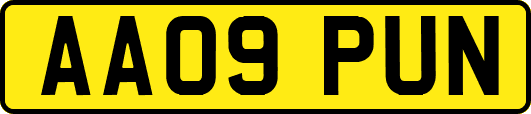 AA09PUN