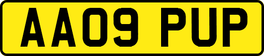 AA09PUP