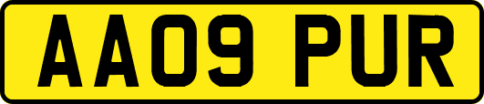 AA09PUR