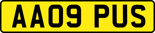 AA09PUS