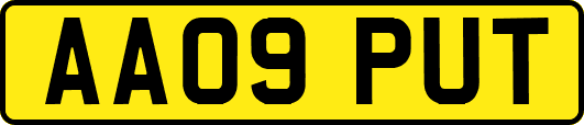 AA09PUT