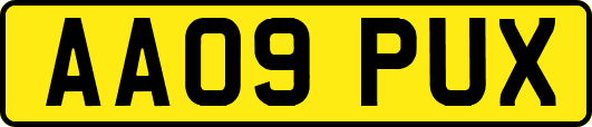 AA09PUX