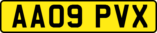 AA09PVX