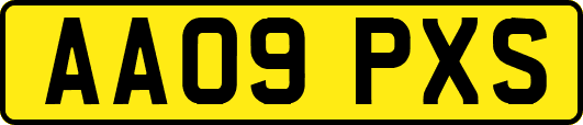 AA09PXS