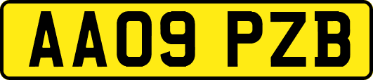 AA09PZB