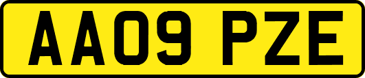 AA09PZE