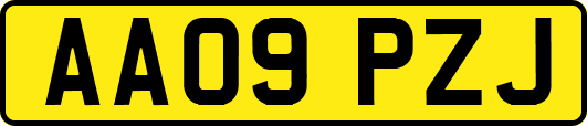 AA09PZJ