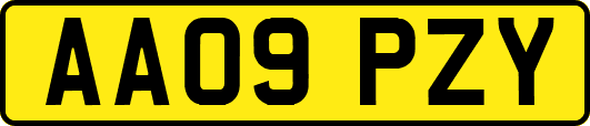 AA09PZY