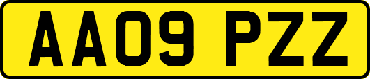 AA09PZZ