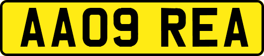 AA09REA
