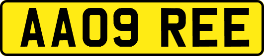 AA09REE