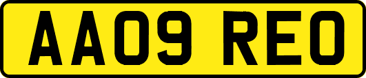 AA09REO