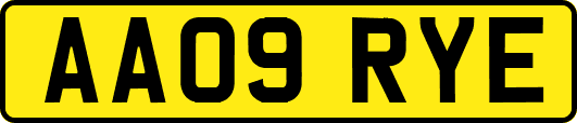 AA09RYE