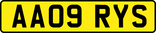 AA09RYS