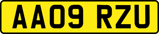 AA09RZU
