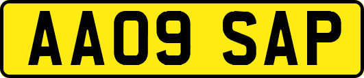 AA09SAP
