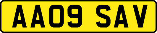 AA09SAV