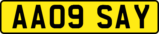 AA09SAY