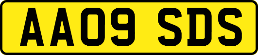 AA09SDS
