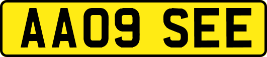AA09SEE